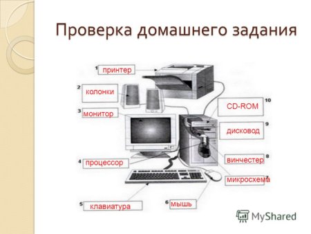 Основные части компьютера Информатика 5 класс