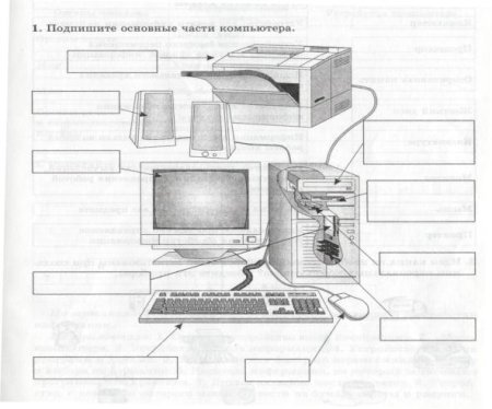Подпишите основные части компьютера Информатика