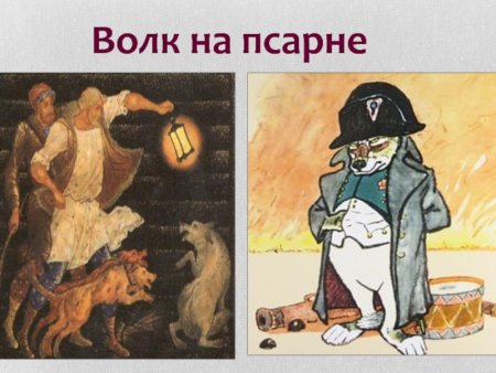 Иллюстрация по басне Крылова волк на псарне