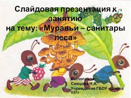 Про муравьев для детей