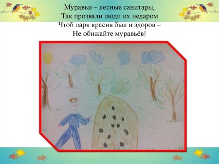 Санитары леса рисунок