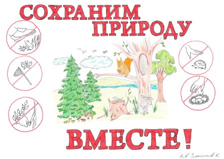 Муравьи санитары леса