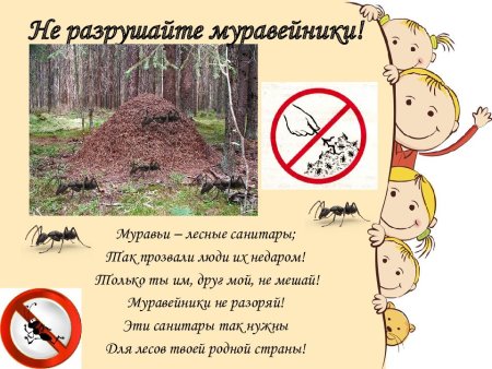 Санитары леса карикатура