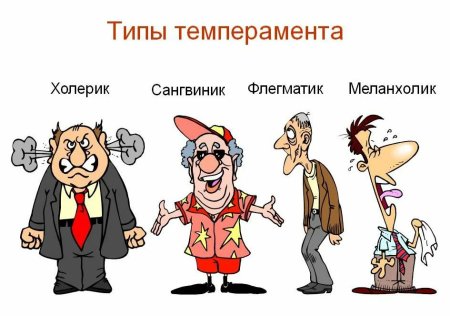Типы личности холерик сангвиник флегматик меланхолик