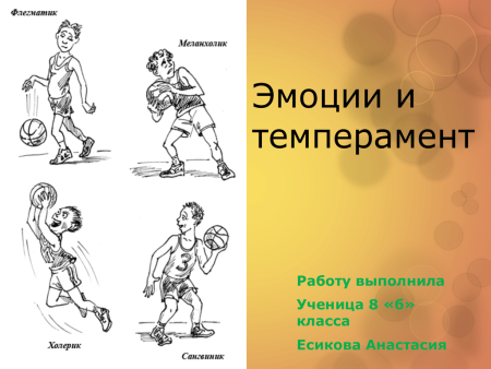 Эмоциональный холерик