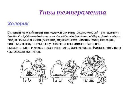 Типы темперамента