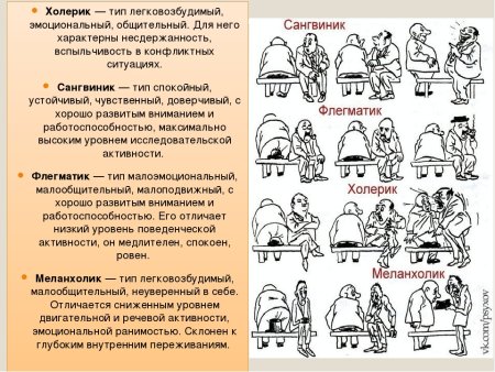 Темперамент холерик сангвиник флегматик меланхолик