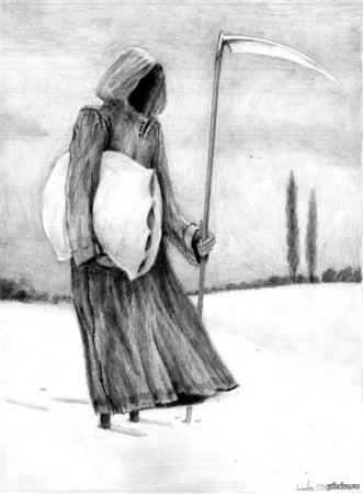 Череп ворона