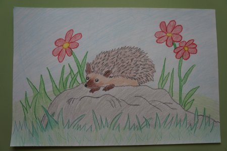 Осенние рисунки