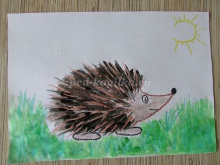 Ежик с грибами раскраска