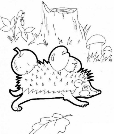 Осенний Ежик раскраска для детей