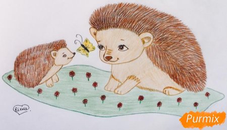 Раскраска к сказке яблоко Сутеев