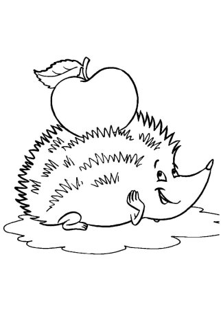 Поэтапное рисование ежа