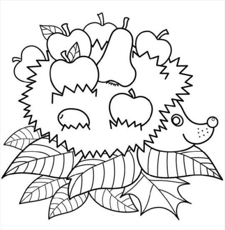 Ёжик раскраска для детей