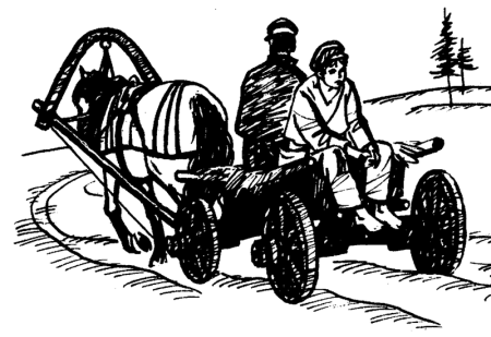 Школьник Некрасова