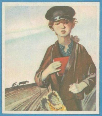 Николай Алексеевич Некрасов школьник