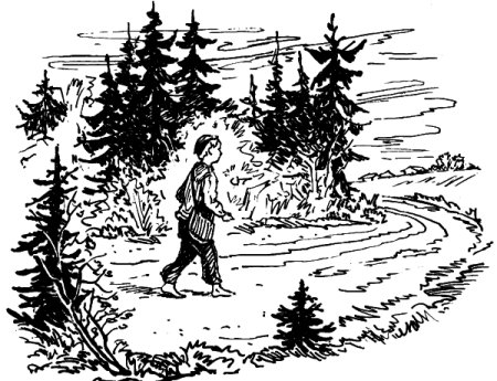 Литературные герои Некрасова