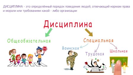 Дисциплина рисунок