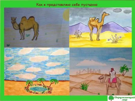 Пустыня карандашом