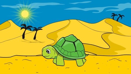 Верблюд на фоне солнца