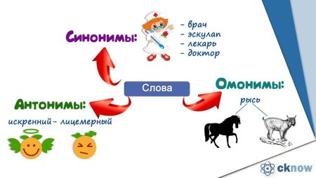 Плакат на тему лексика