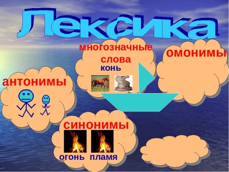 Синонимы антонимы омонимы фразеологизмы