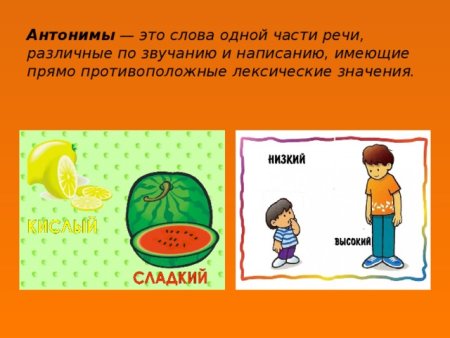 Таблица синонимы антонимы омонимы