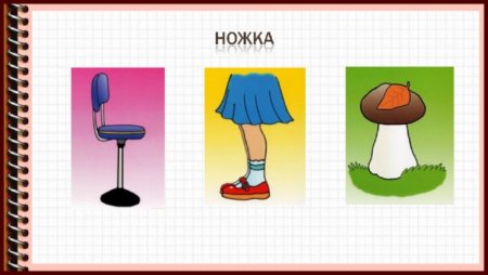 Правила по русскому языку 5 класс омонимы синонимы антонимы