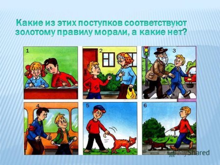 Правило морали