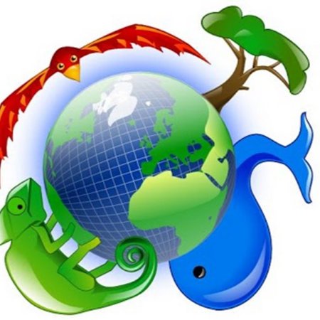 Биосфера это в экологии