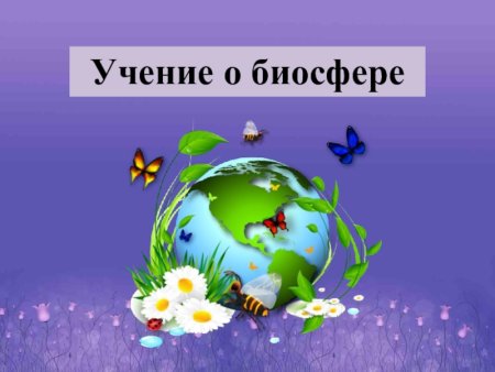 Учение о биосфере 10 класс