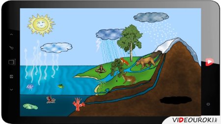 Рисунок на тему человек и Биосфера