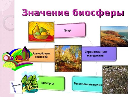 Биосфера презентация