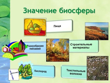 Роль биосферы