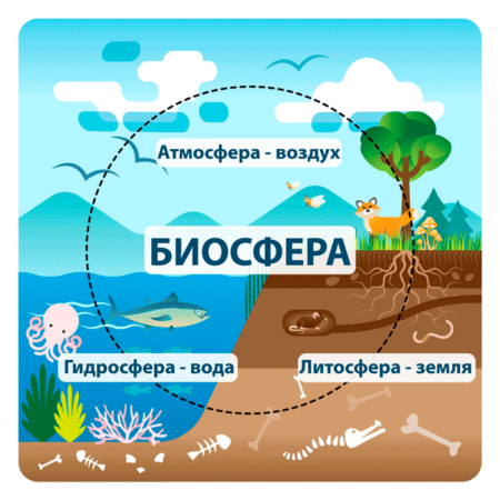 Границы биосферы