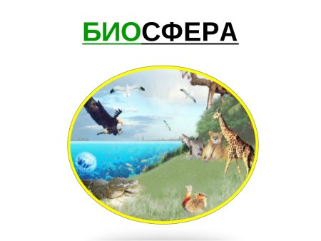 Биосфера рисунок