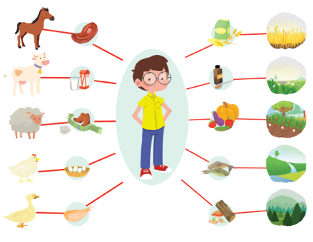 Роль растений и животных в жизни человека