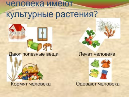 Растения которые одевают