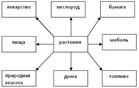 Что дают растения и животные человеку схема 3 класс