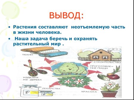 Тема береги растения