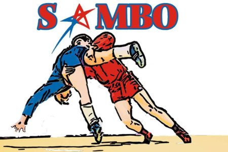 Самбо плакат