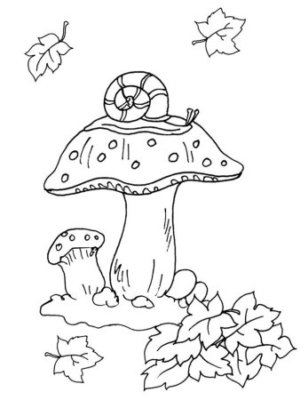 Гриб раскраска