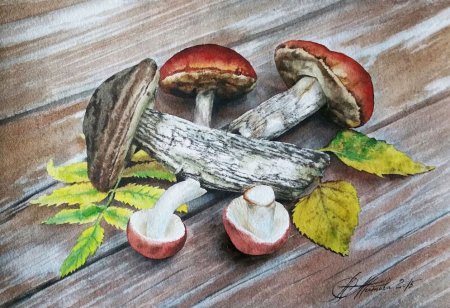 Натюрморт с грибами для детей