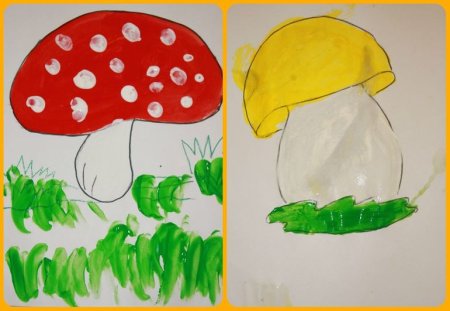 Рисование грибы в средней группе