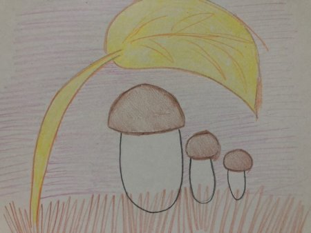 Рисование грибы в подготовительной группе