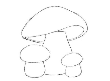 Наглядный материал грибы