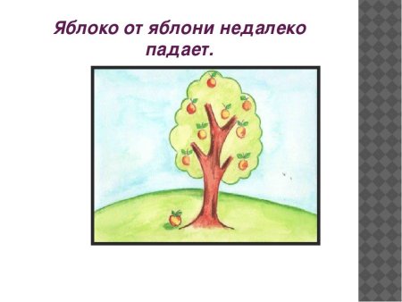 Пословицы и рисунки к ним
