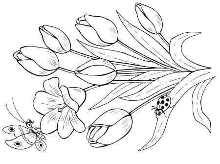 Раскраска букет цветов