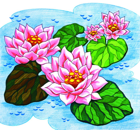Лотос орехоносный раскрасить