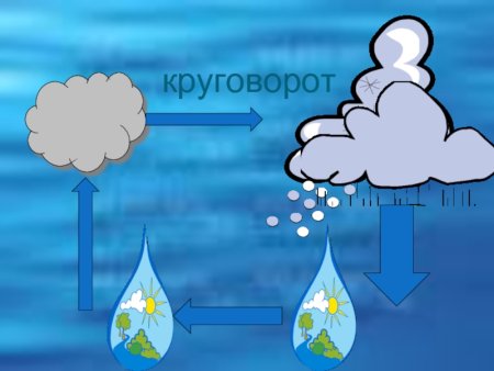 Этапы круговорота воды в природе
